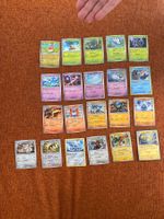 21 Karten Pokemon