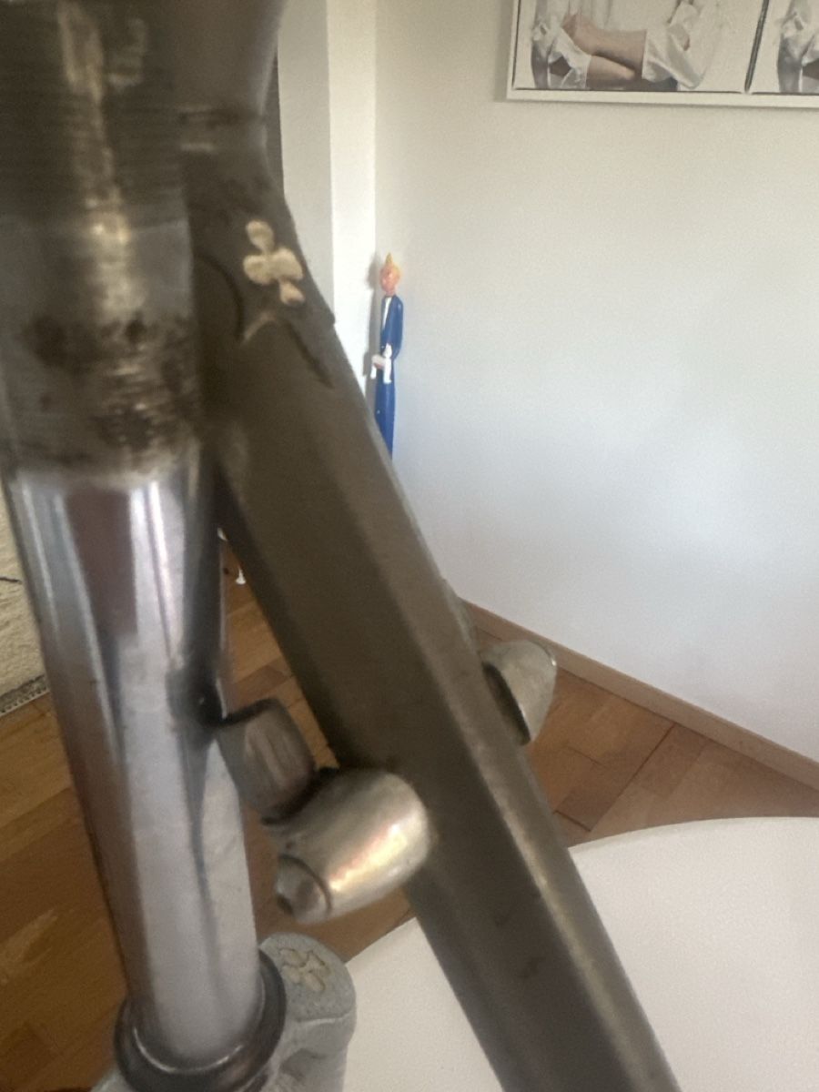 Colnago Velos: Colnago Rahmen naked – Gebraucht aus zürich von josschmid01 4