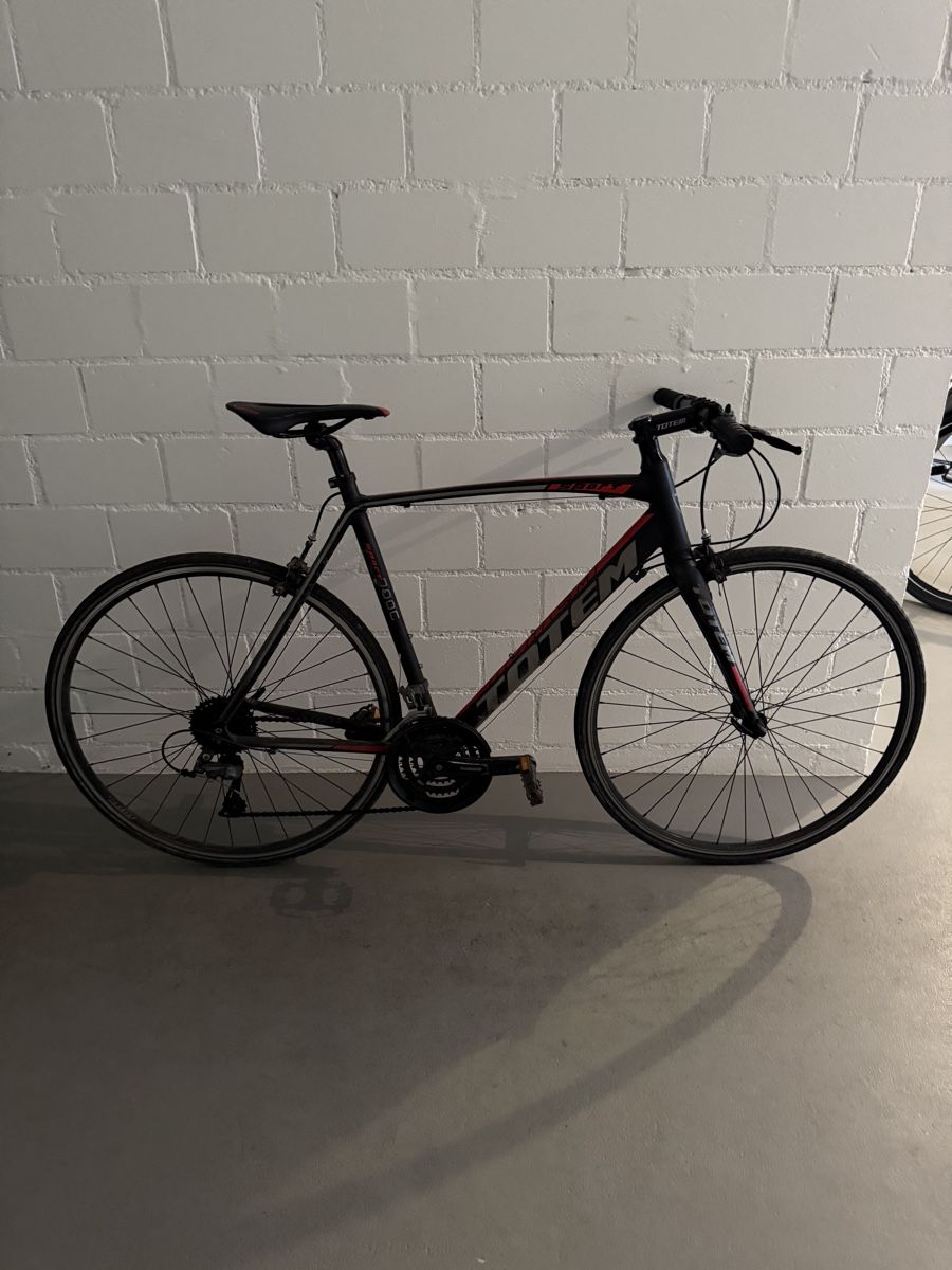 Totem Biciclette: Velo, Fahrrad – Usato da Winterthur venduto da Etimax 4