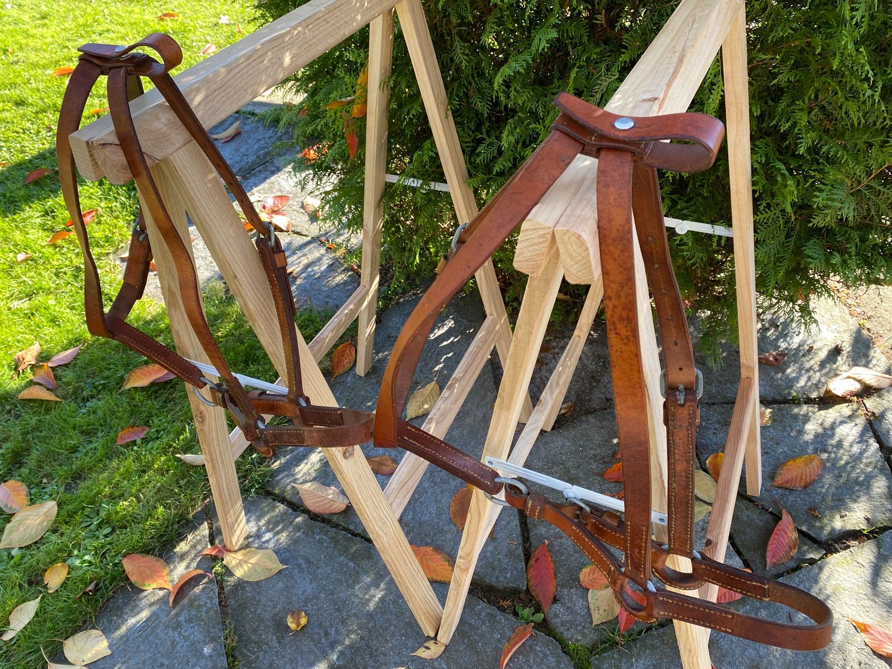 Zaumzeug & Halfter: 2 sehr schöne Schweizer Militär Lederhalftern – Gebraucht aus Feldbach von Fea1 6