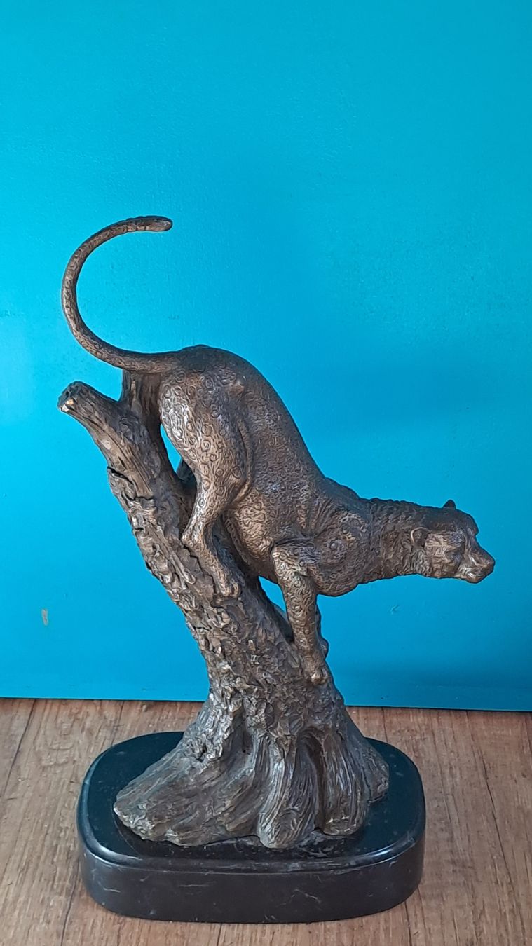 Sculture & Statue: SCHÖNE BARYE BRONZE RAUBKATZE – Usato da schönholzerswilen venduto da Vistapoint