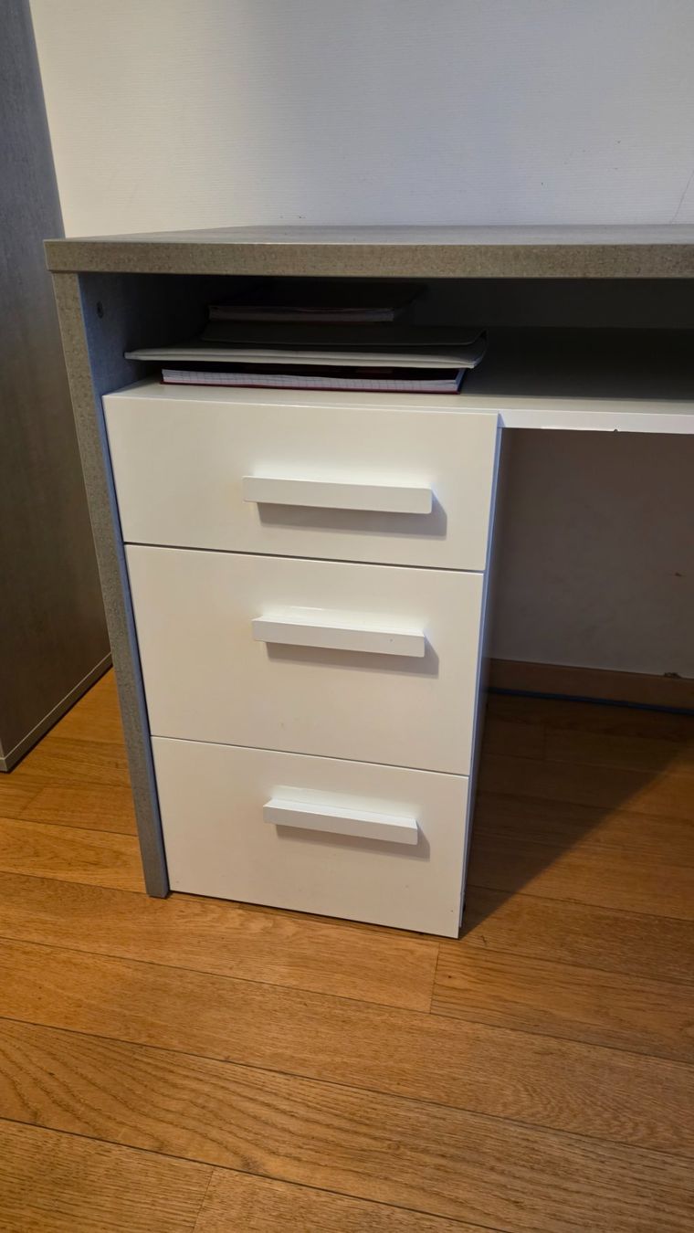 Pfister Scrivanie: Pfister Desk – Usato da Geneva venduto da tut_95td 4
