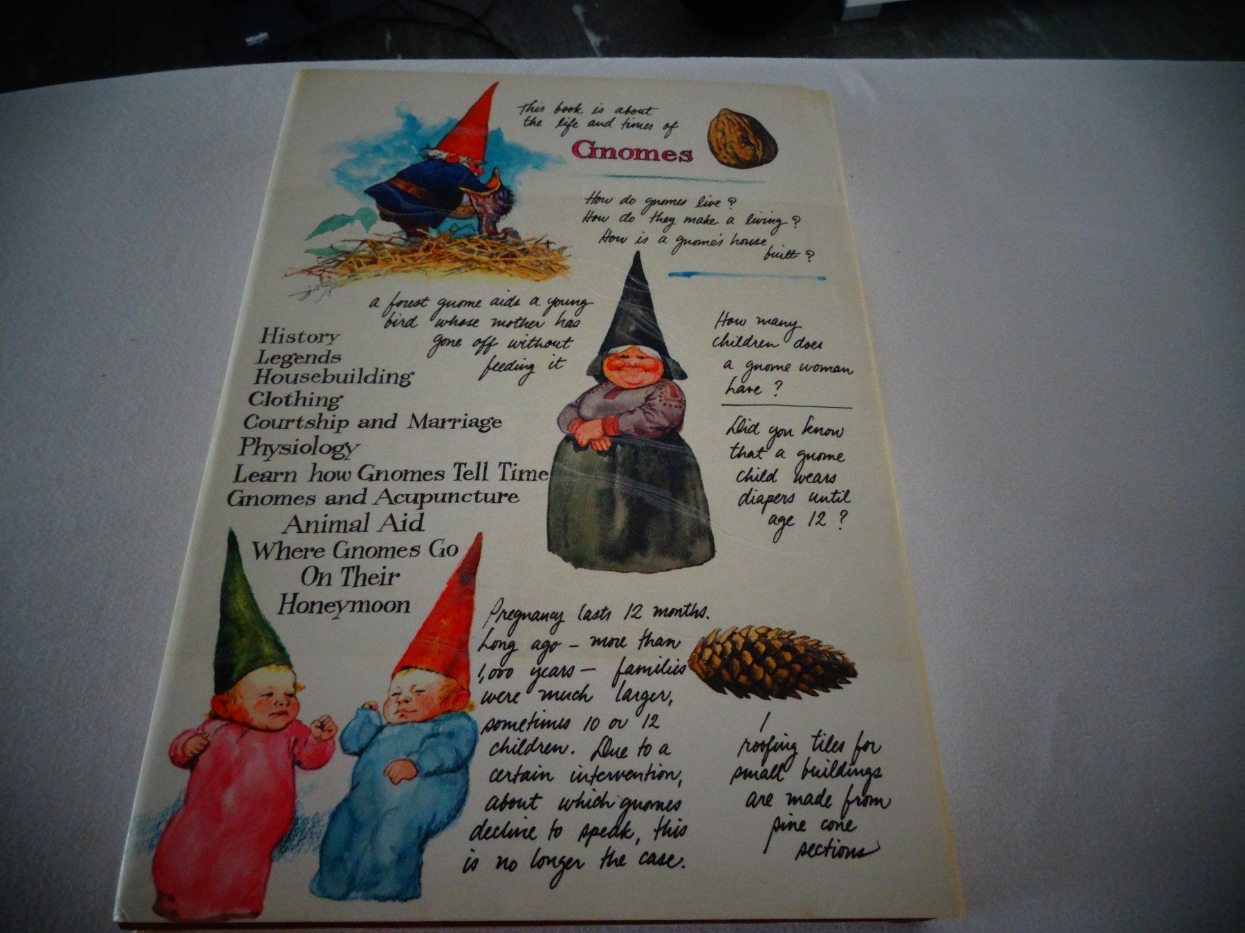 Bücher: Gnomes – Gebraucht aus Neerach von jenny062 9