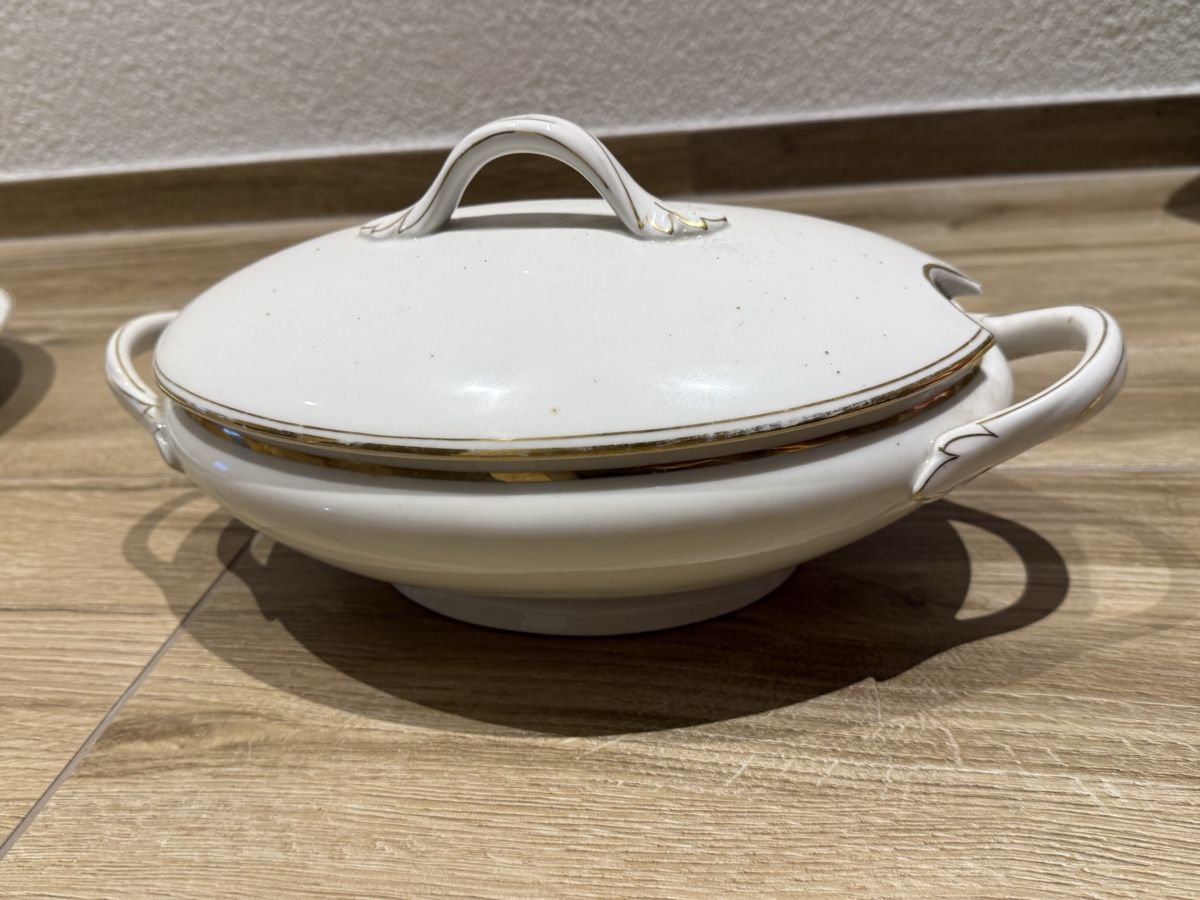 Set di piatti: Porcelaine de Limoges – Usato da Estavannens venduto da davy80
