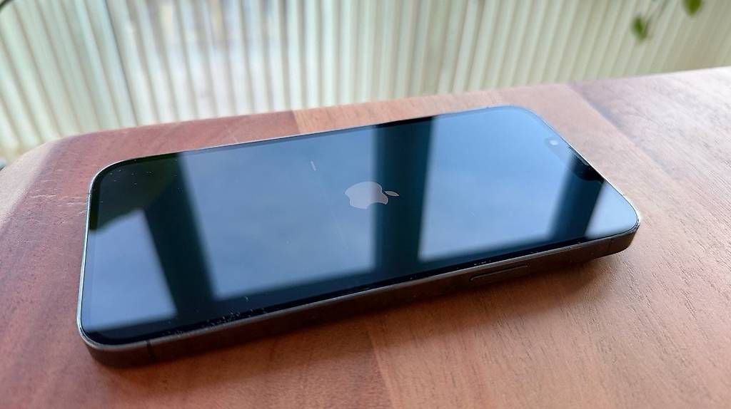 Apple Telefoni cellulari / Smartphones: iPhone 13 Pro Max 256 GB Graphite, einwandfrei, Akku 73% – Usato da Winterthur venduto da seg_hf9k