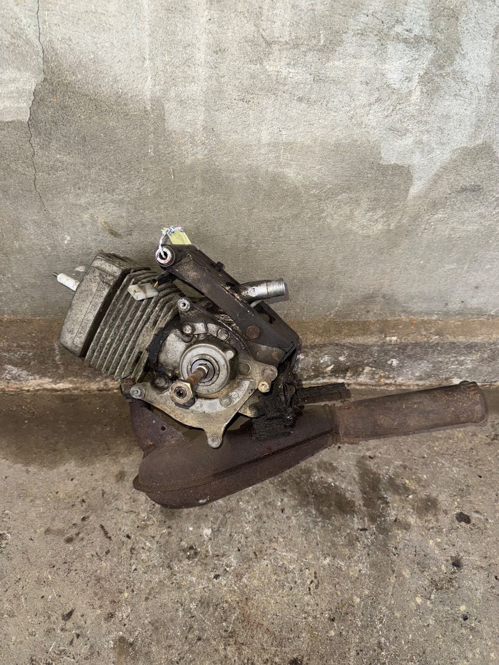 Sachs Motori: Mofa Motor – Difettoso da Fahrni b. Thun venduto da berger_tuning34 2