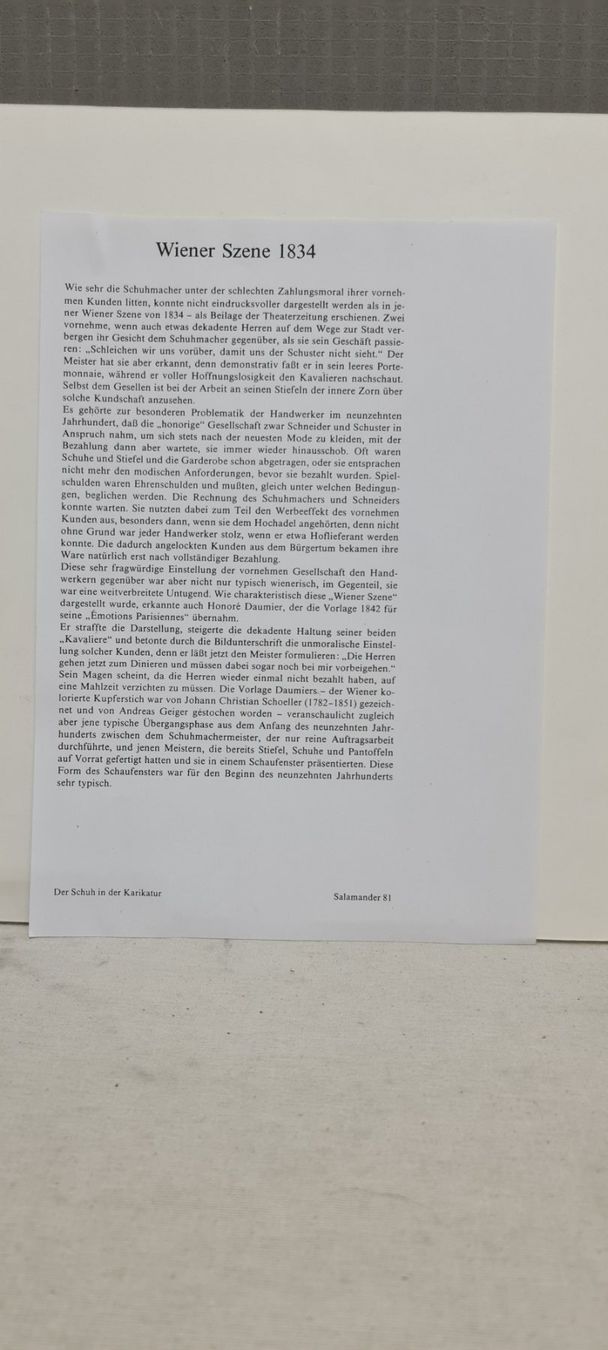 Grafica & Litografie: Der Schuh in der Karikatur, Lithographie – Usato da Sins venduto da sagitarius58 3