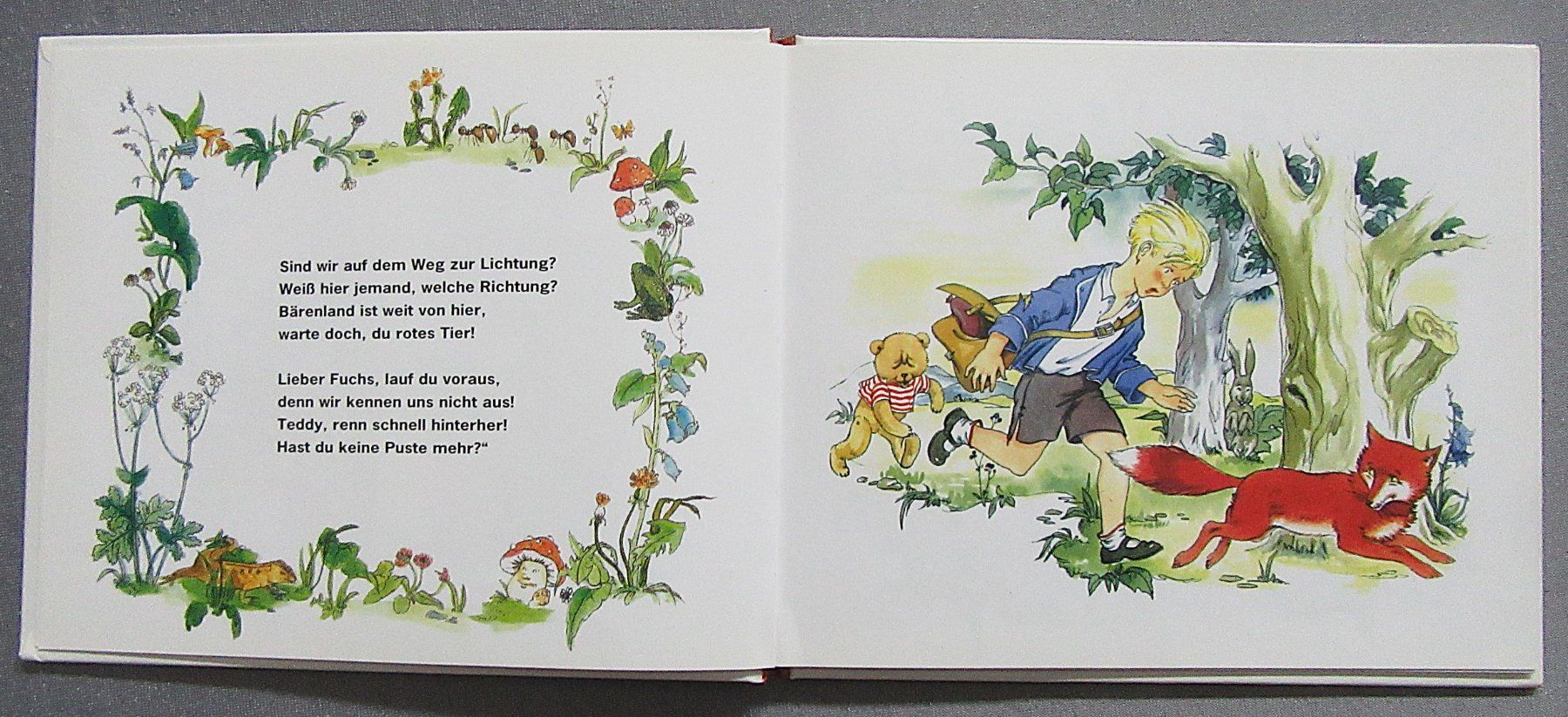 Libri: Teddy und sein Bruder - kleines Bilderbuch – Usato da Auenstein venduto da Padabimbim 2