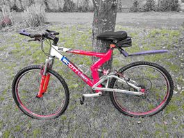 Scott F-Zero Mountainbike Alurahmen