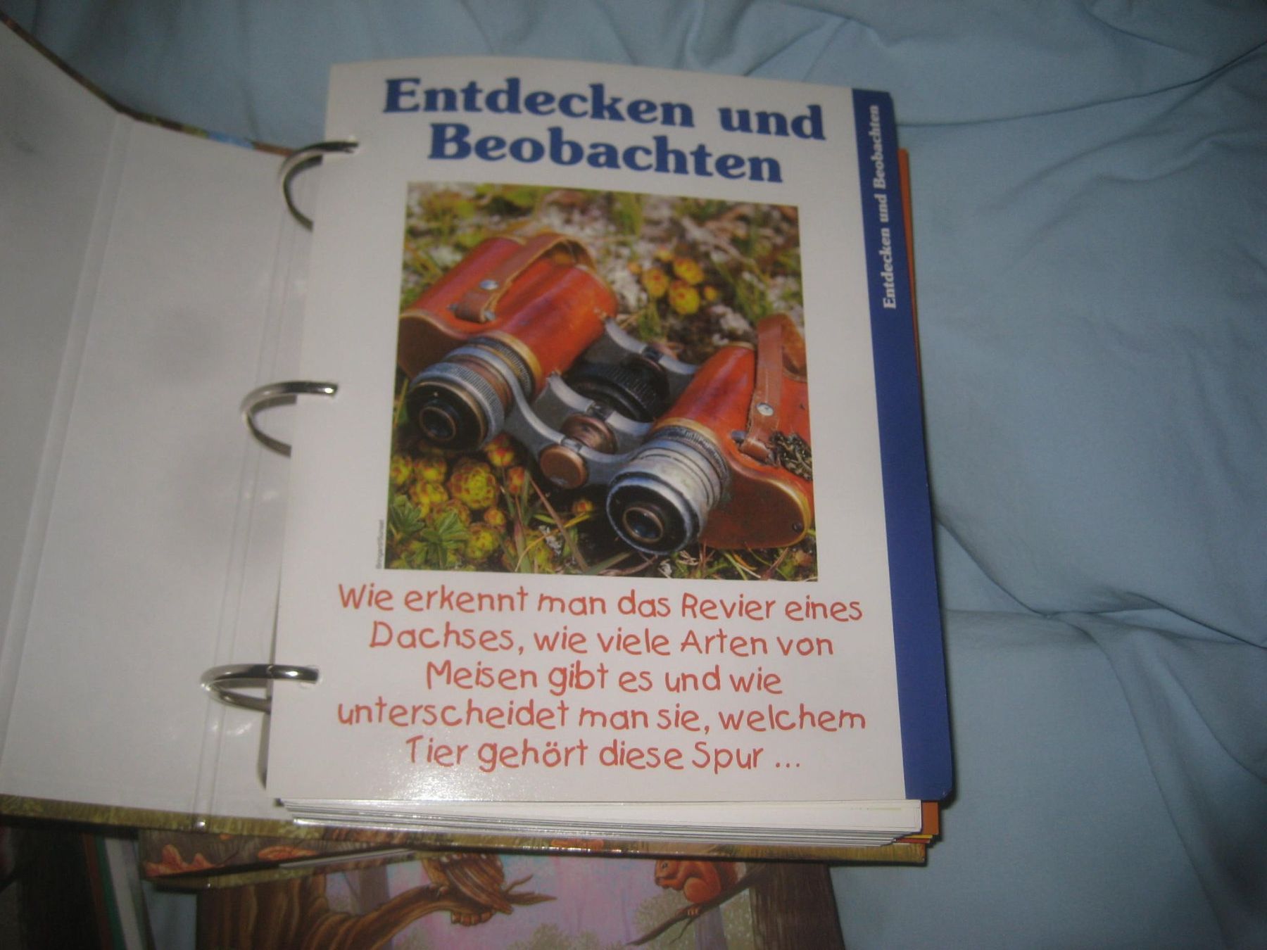 Livres: KINDER  NATUR  ORTNER – Neuf (Voir description) à Uster par flocke1 7