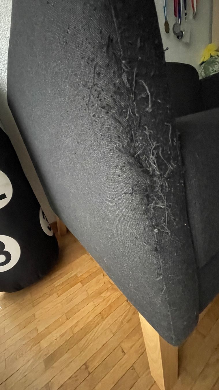 Ikea Divani: Sofa – Usato da Zürich venduto da Pharao67 2