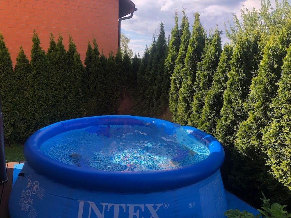 Intex Pool Durchmesser ca. 3m Kaufen auf Ricardo