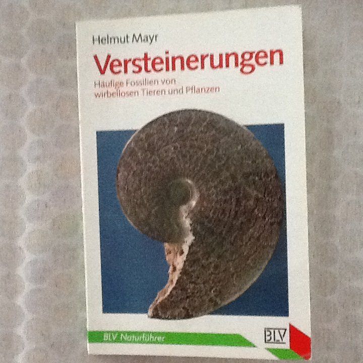 Libri: Fossilien Helmuth Mayr – Usato da Olten venduto da smiples