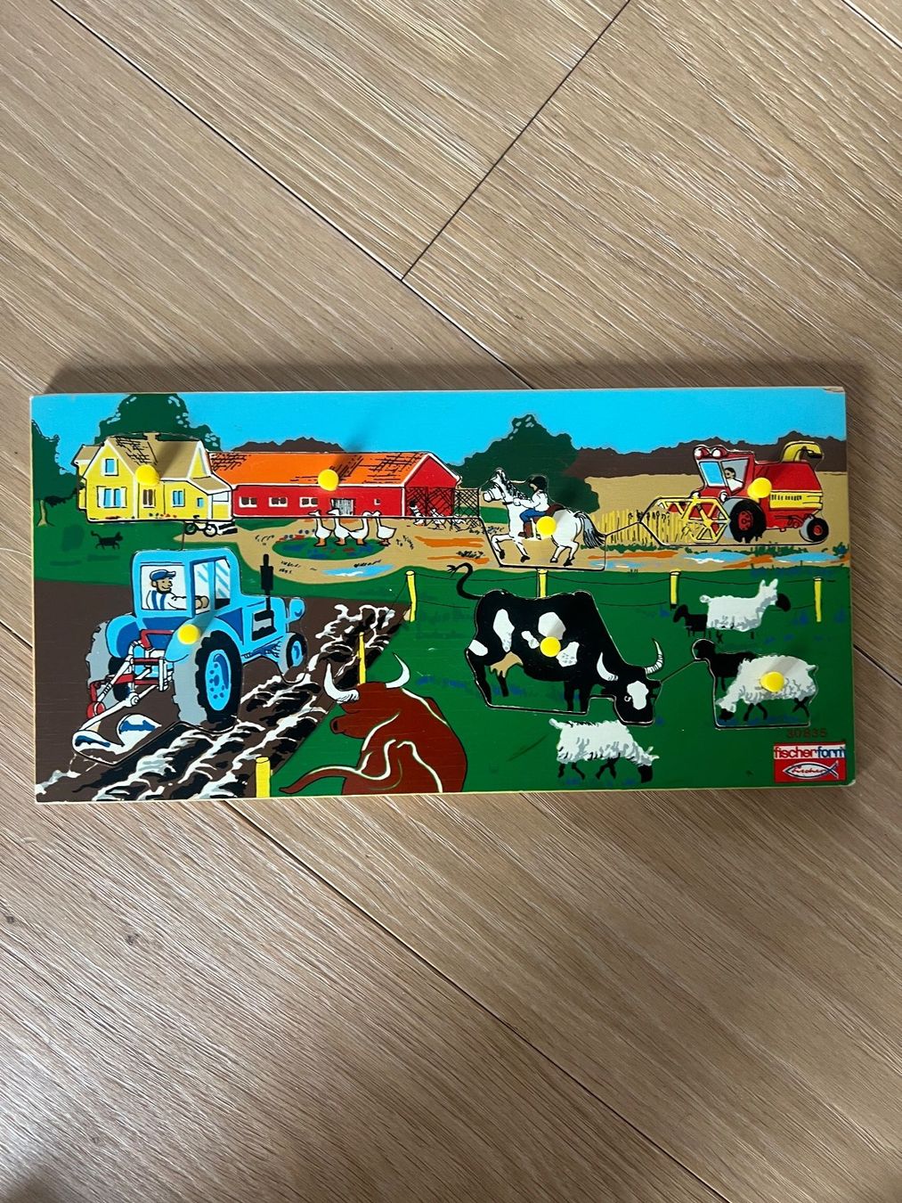 Eichhorn Puzzles: 5 Holzpuzzles – Gebraucht aus Wittenbach von abenlo 1