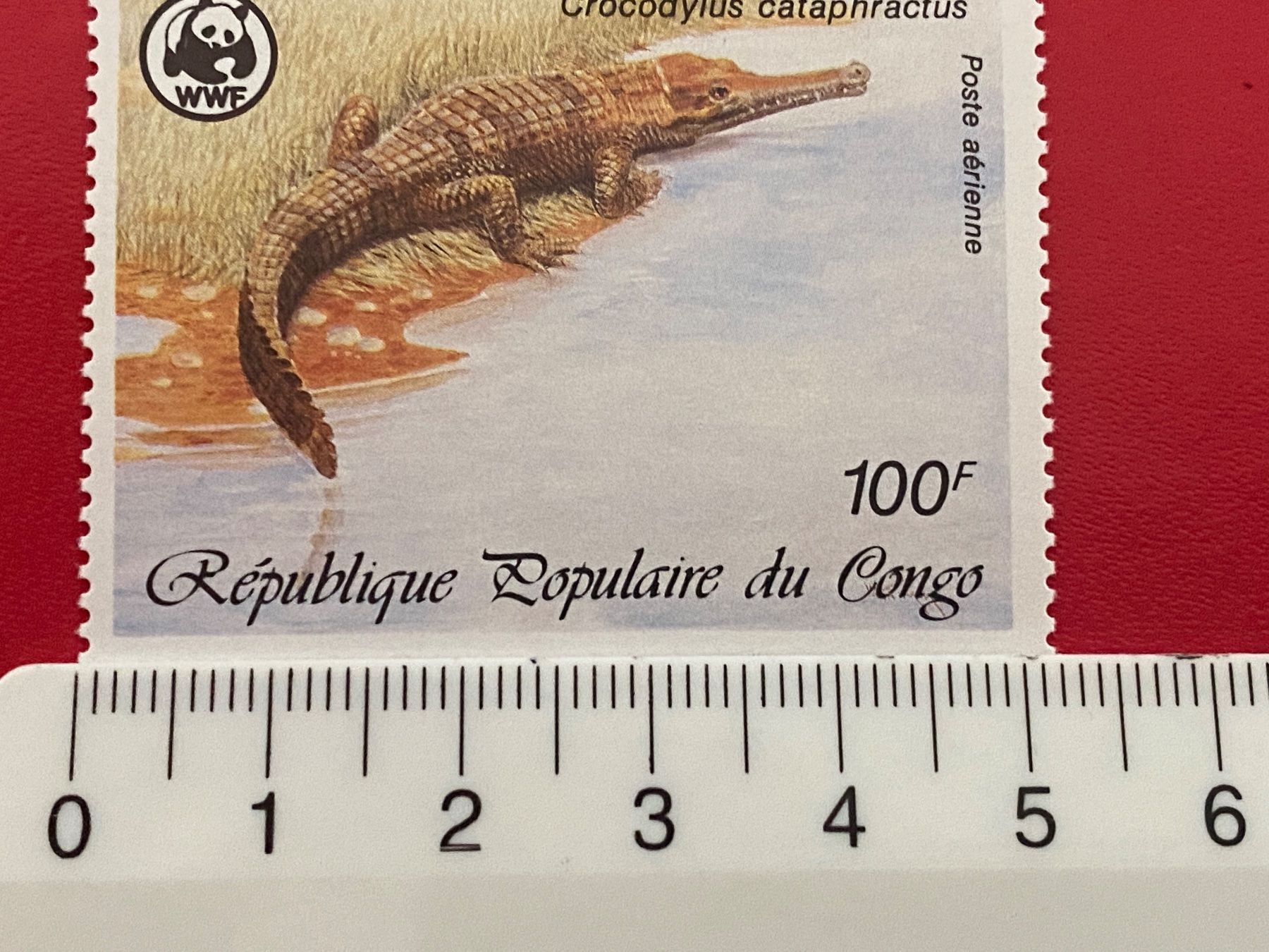 Alle Briefmarken: Timbres - Congo – Neu (gemäss Beschreibung) aus Petit-Lancy von Solcarm 5