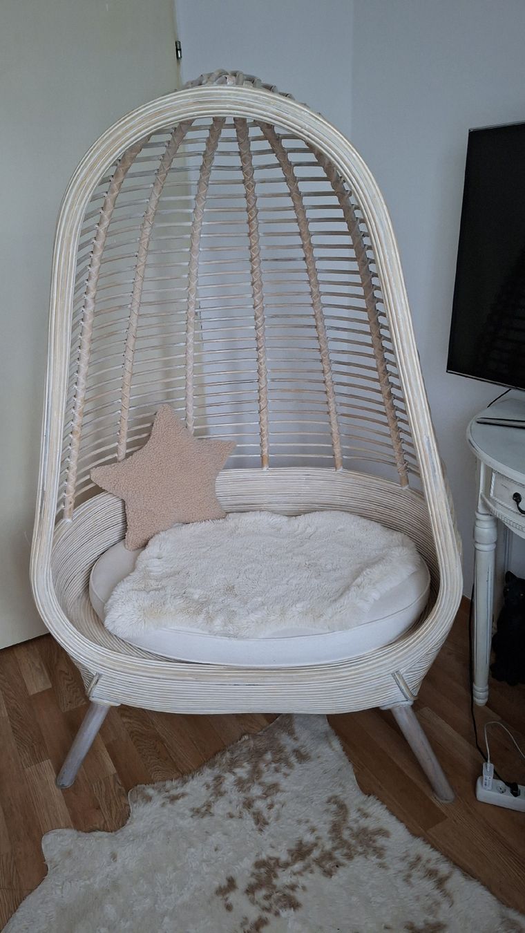 Poltrone: Sessel Lounge / Design – Usato da Winterthur venduto da Stanislava02 3