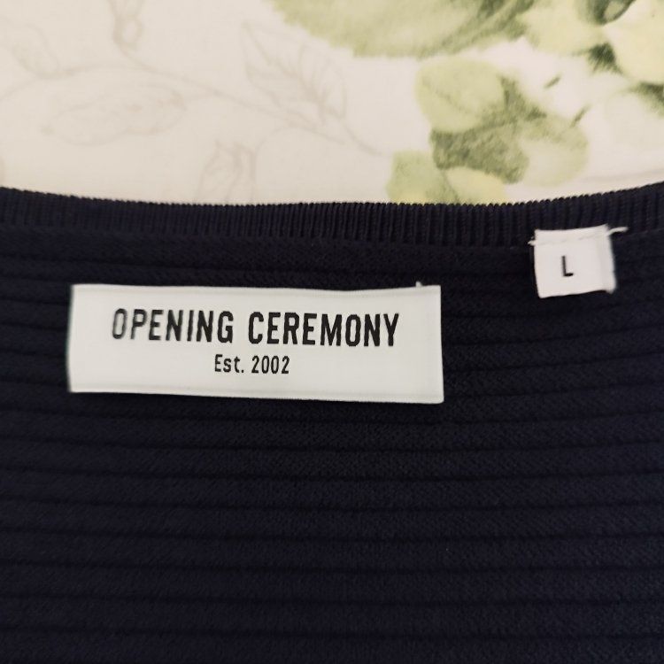Kleider: OPENING CEREMONY maxi Kleid NEU gr L – Neu (gemäss Beschreibung) aus Basel von pro_79rs 4