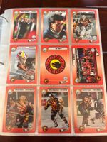SC Bern SCB Player Trading Cards 1993/94 komplett