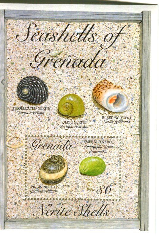 Alle Briefmarken: Block "Muscheln". Grenada. – Neu und originalverpackt aus Basel von Butsch5