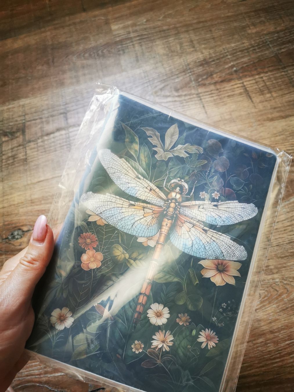 Blocchi: Notizbuch Libelle mit Blumen Motiv Neu – Nuovo e nell'imballaggio originale da Balsthal venduto da Leila_Luna 2