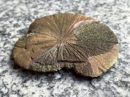 Schöne, intakte Pyrit Sonne ab 45.--