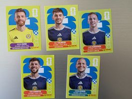 Panini 2026 WM USA SCO Schottland 2, 12, 14, 15, 18