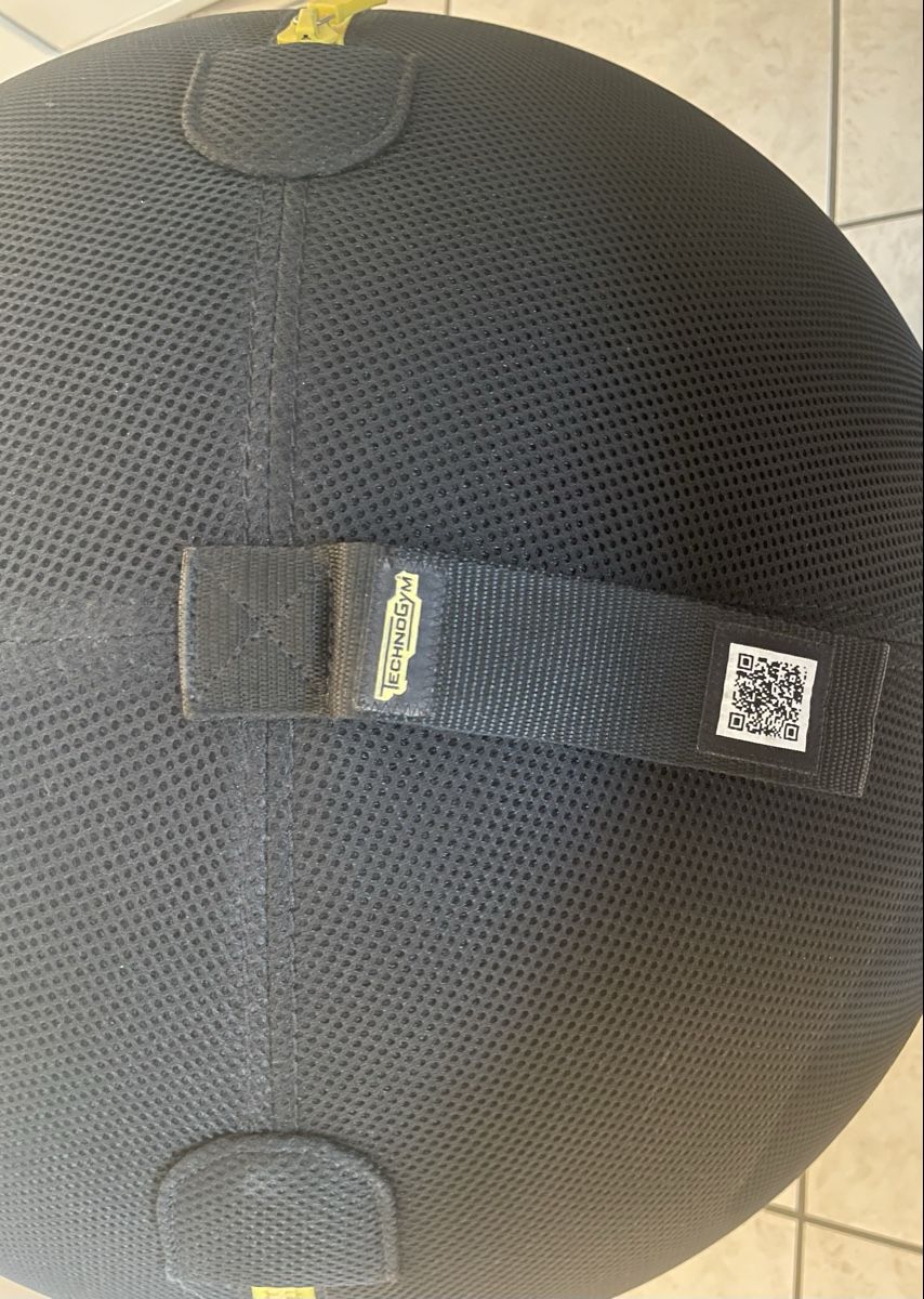 Technogym Palloni: Technogym Wellness Ball Active Sitting – Usato da Pregassona venduto da REEUP 1