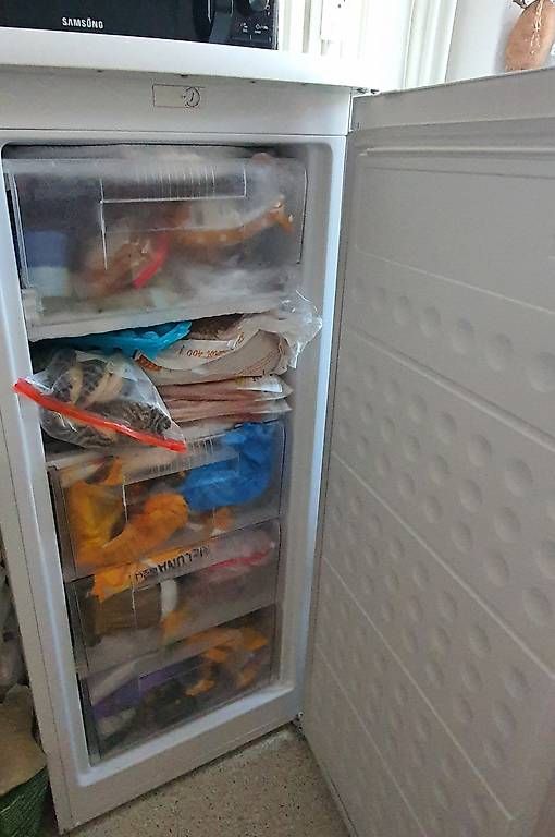 Congelatori: Gefrierschrank Frigelux – Usato da Nürensdorf venduto da josef_21 2