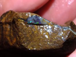 BOULDER ROH OPAL 23.20 gramms Grün pin Feuer  CHF 1