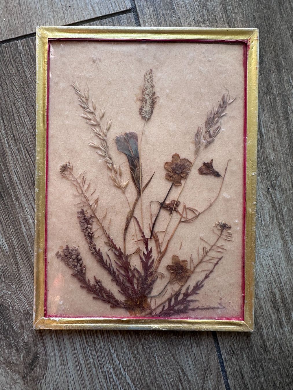 Dipinti: Bouquet de fleurs séchées – Usato da Châtillon FR venduto da Karine1453