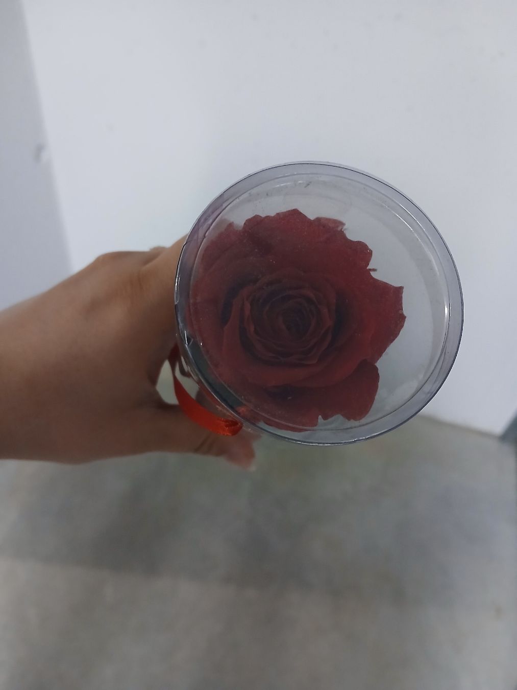 Tutte le decorazioni: Echte rote Rose, Longlife – Nuovo (secondo la descrizione) da Niederrohrdorf venduto da Sabrina1041 1