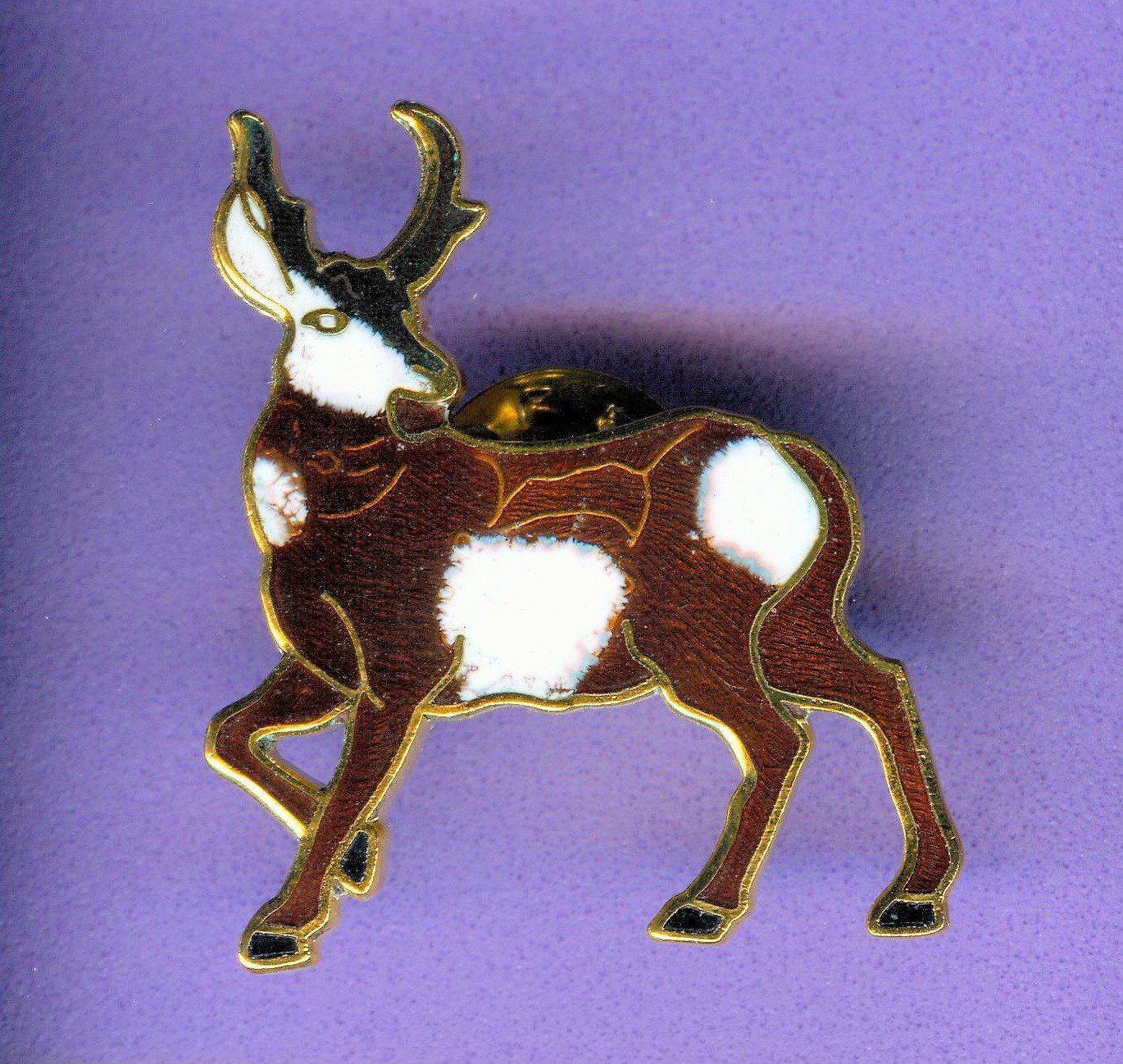 Placchette & Badge: HIRSCH – Usato da Winterthur venduto da Sammleroase