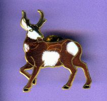 HIRSCH