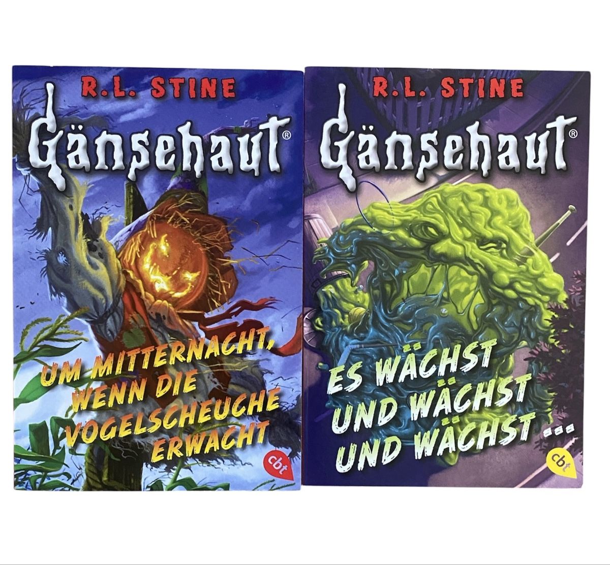 Libri: Gänsehaut R.L. Stine Bündel – Usato da Bonstetten venduto da zweitihand.shop 2
