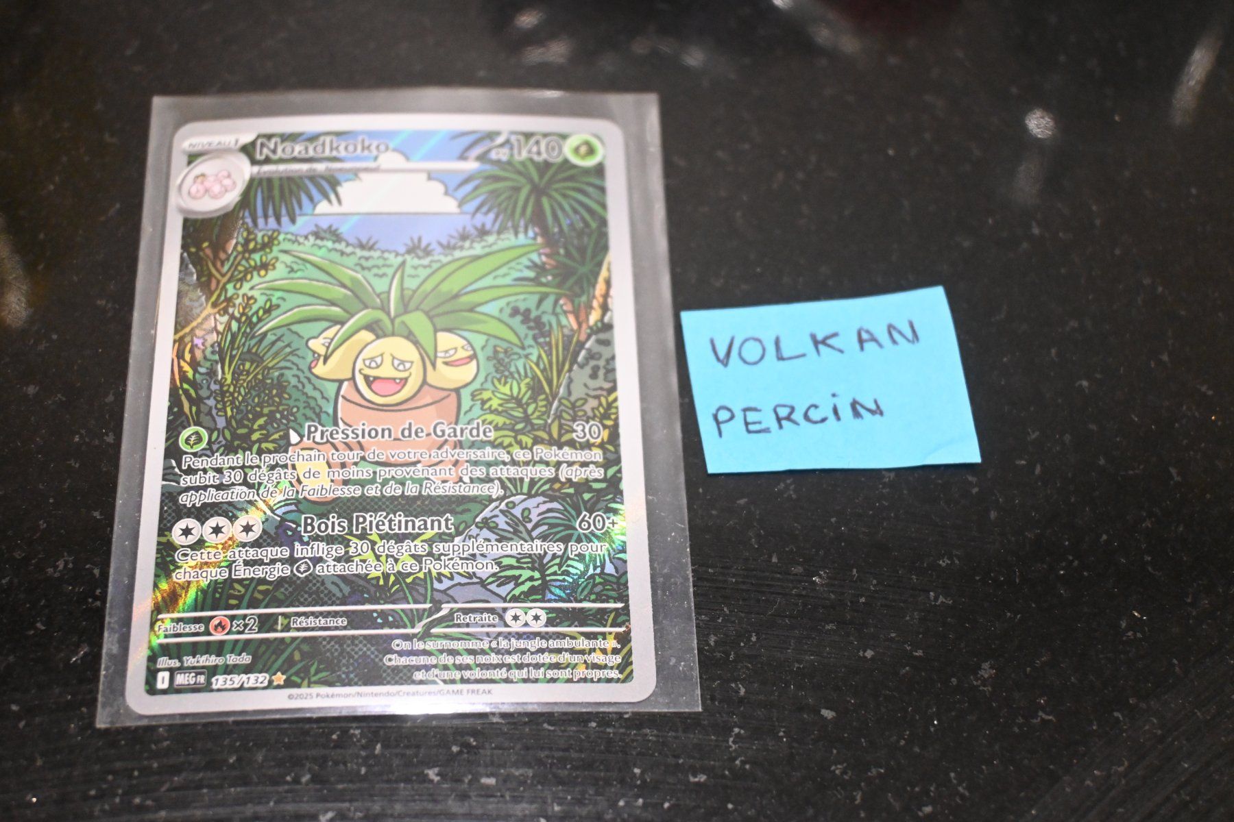 Pokémon Carte collezionabili: Noadkoko (MEG 135) FR – Nuovo (secondo la descrizione) da Aigle venduto da PSAPOKEVOVO