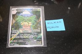 Noadkoko (MEG 135) FR