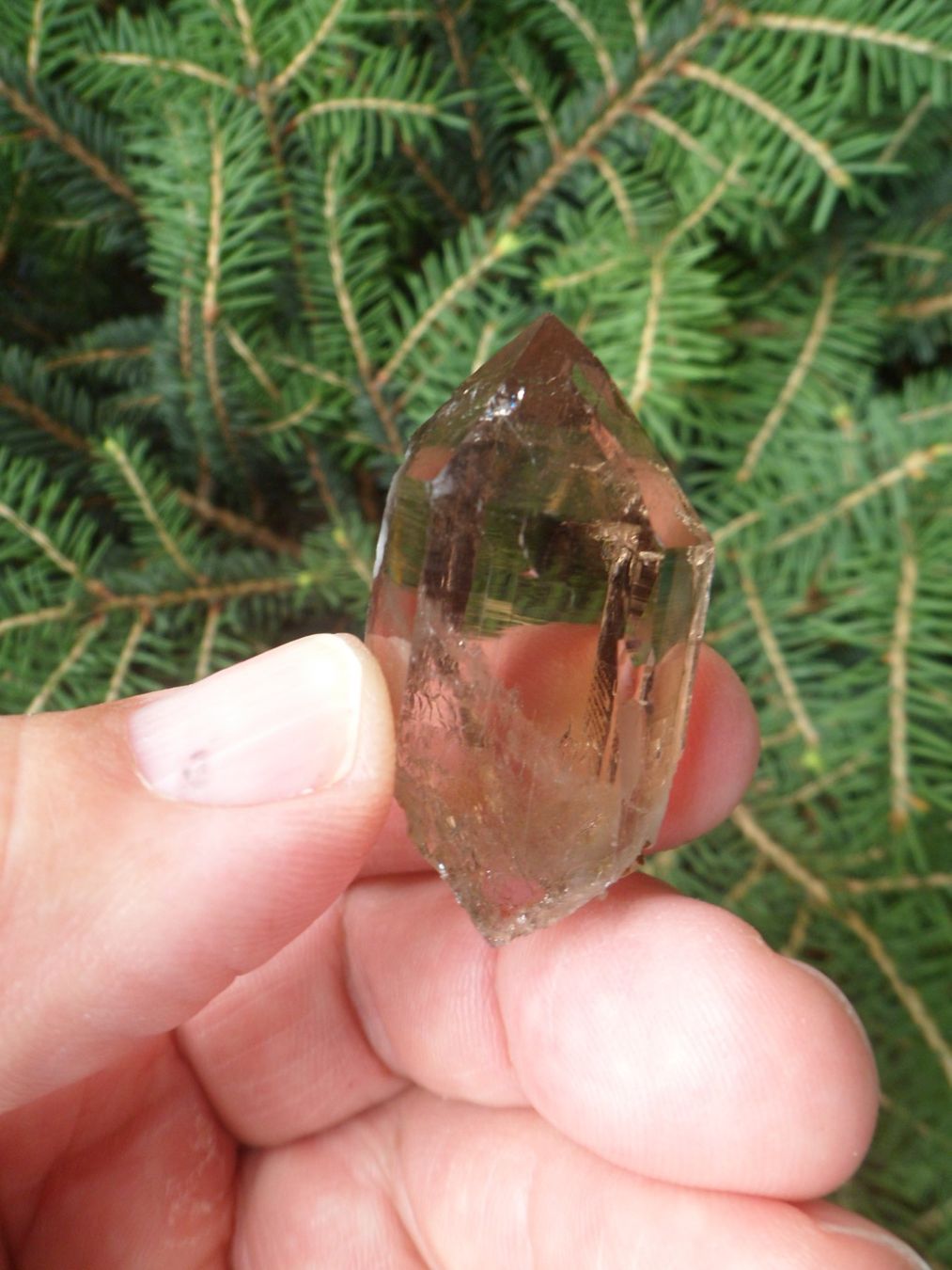 Mineralien & Heilsteine: Rauchquarz, Schweiz – Gebraucht aus Affoltern am Albis von Fossil60 2
