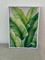Leinwandbild  Pflanze