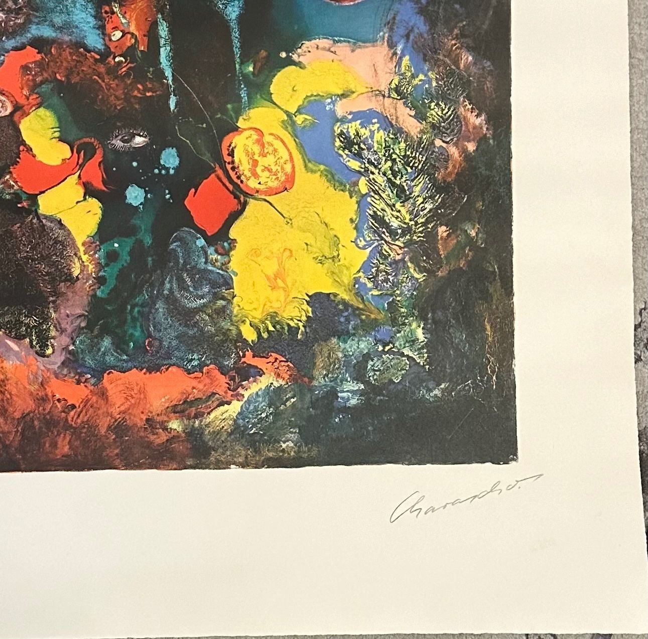 Grafica & Litografie: Fred Charascho LITHOGRAPHIE GRÖSSE 81X59CM – Usato da Gersau venduto da kunst-online 4