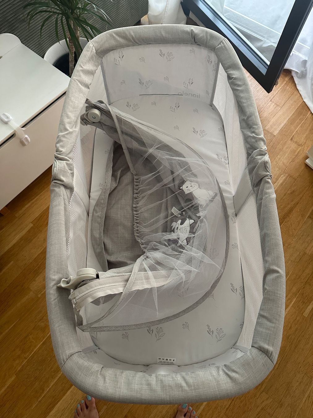 Sdraiette & Sdraiette a dondolo: Babywippe mit Moskitonetz – Usato da Zürich venduto da JuliaSp 6