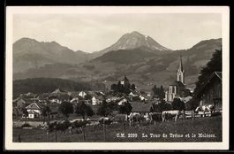 AK La Tour de Trême, La Ville et le Moléson