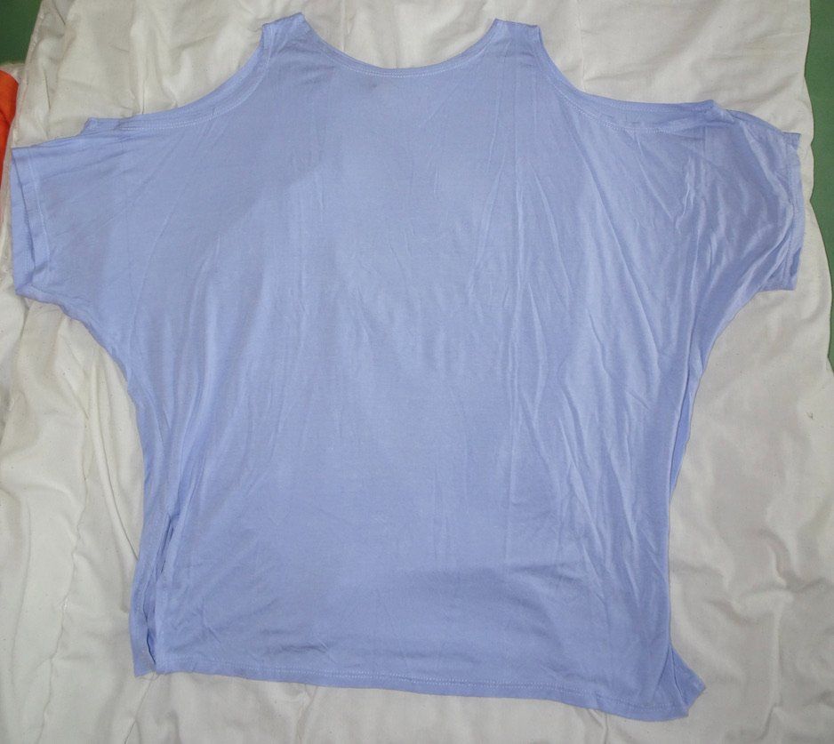 Zebra T-Shirts: T-shirt bleu ciel ZEBRA taille L – Gebraucht aus Châtelaine von Gio54321 1