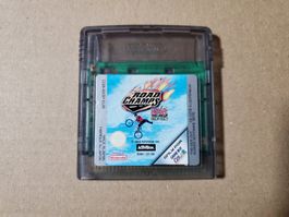 Road Champs GameBoy Color