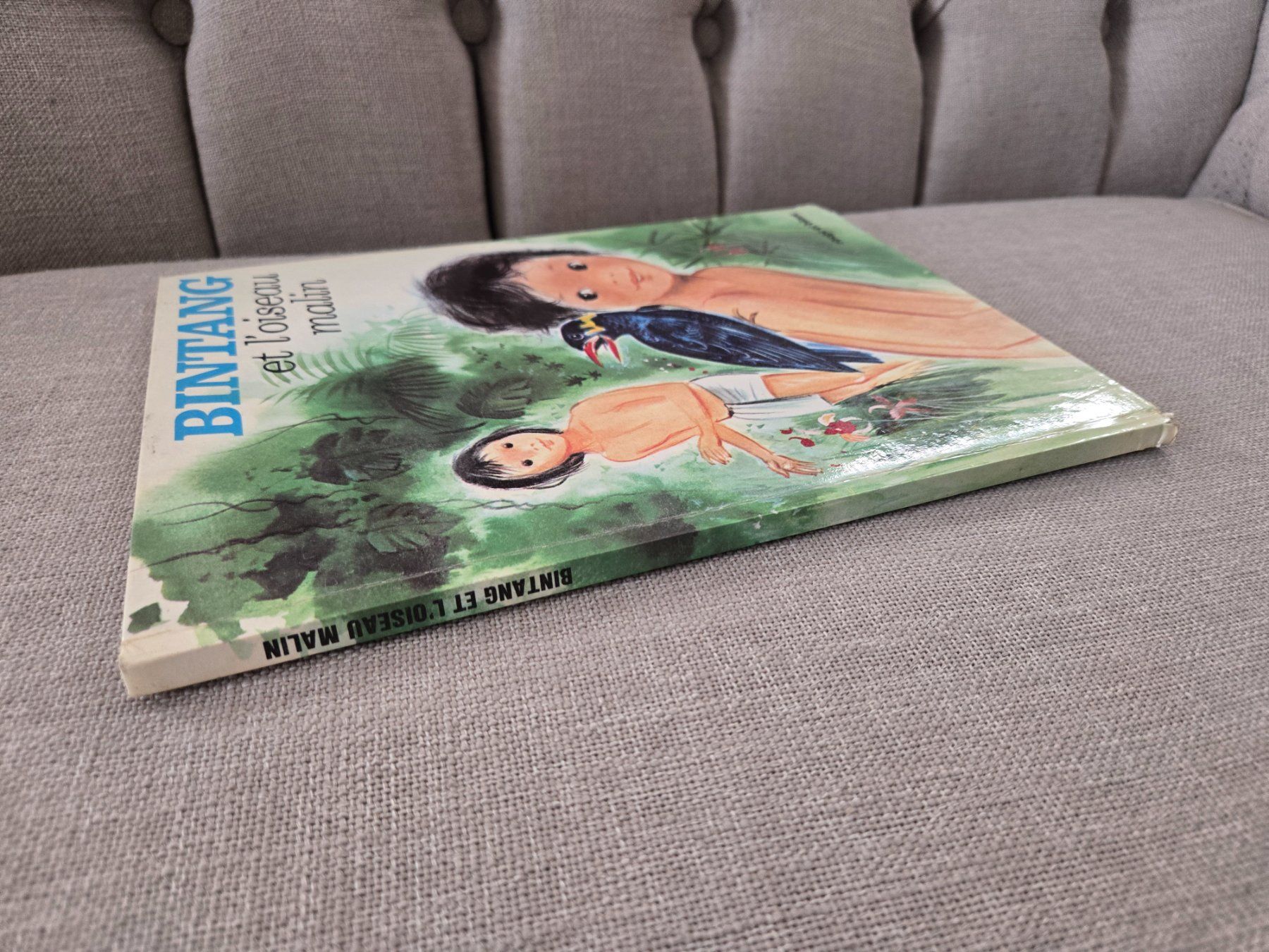 Libri: Bintang et l'oiseau malin – Usato da Crémines venduto da Blakedrake 2
