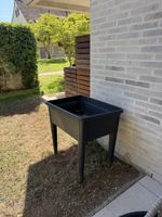 Hichbeet schwarz guter Zustand