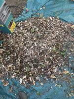 Holzschnitzel, Mulch