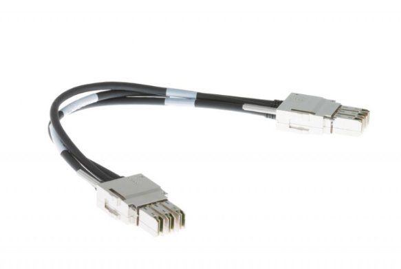 Cisco Cavi: Cisco 50CM Type 1 Stacking Cable – Usato da Givrins venduto da techgru