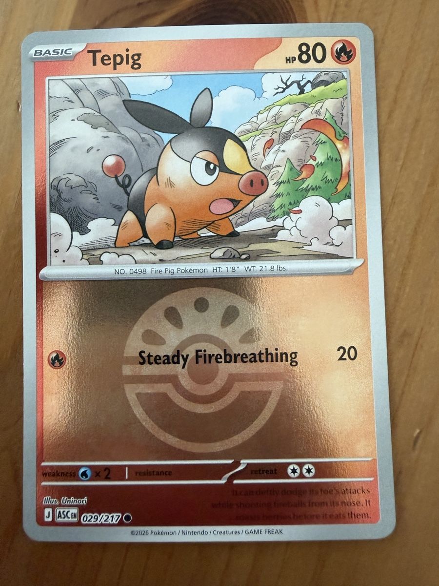 Pokémon Carte collezionabili: Tepig (ASC029) – Nuovo (secondo la descrizione) da Vevey venduto da Matx