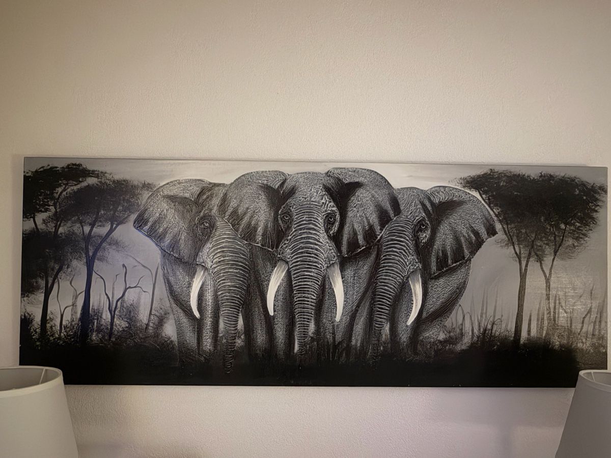 Leinwände & Keilrahmen: Tableau africain – Gebraucht aus Gland von Cantiel75