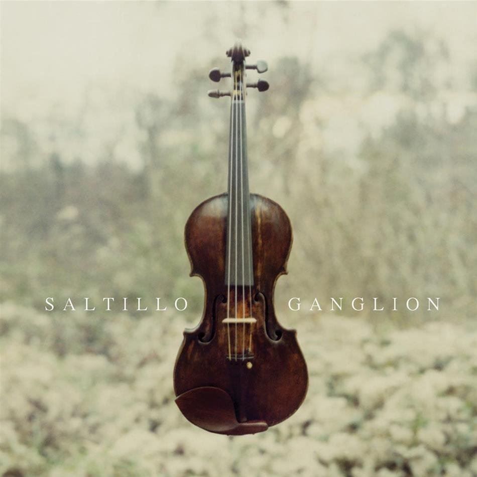 CD: Saltillo - Ganglion – Usato da Uzwil venduto da visions77